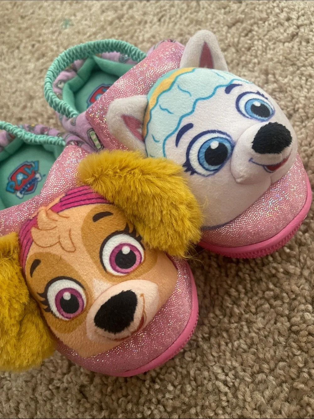 Paw Patrol adorable paw